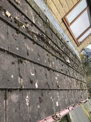 Roof Inspection & Moss Removal — West Yorkshire